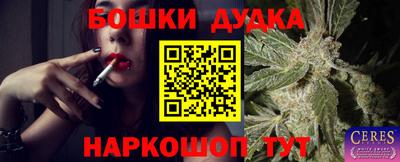 прущие крисы Тара