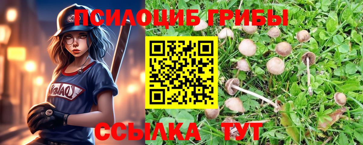 Галлюциногенные грибы мухоморы Новоалександровск