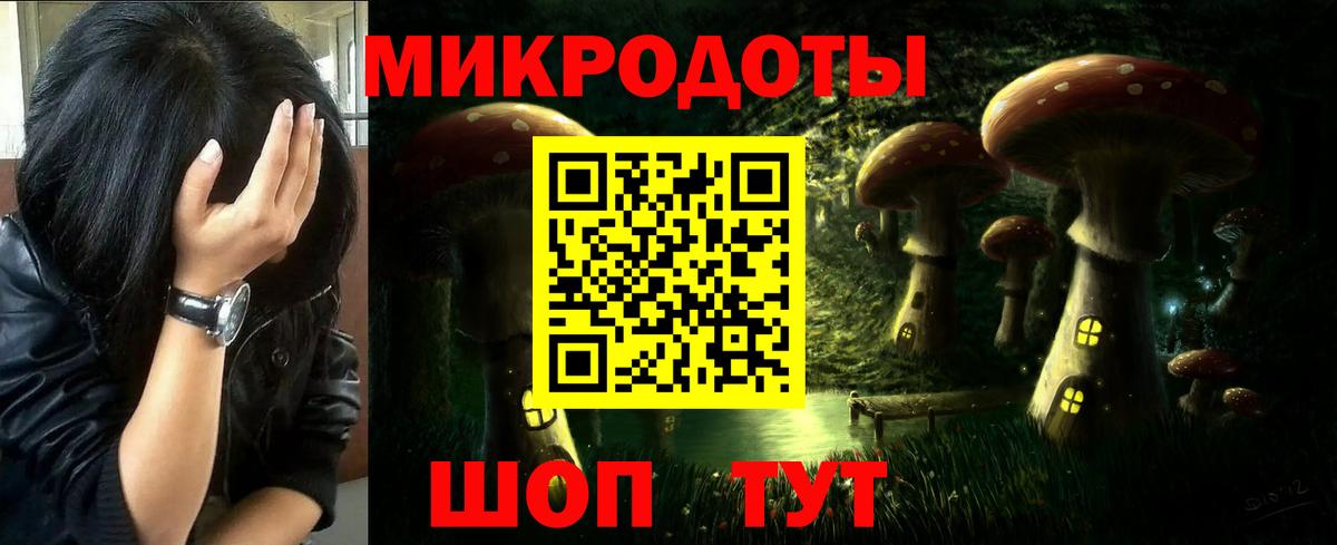 Новоалександровск  Галлюциногенные грибы GOLDEN TEACHER  закладка  Вход с VPN 
